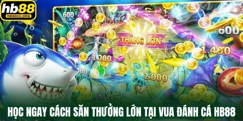 Vua Đánh Cá HB88 – Mỗi Viên Đạn Là Một Cơ Hội Vàng 4 Học ngay cách săn thưởng lớn tại Vua Đánh Cá HB88