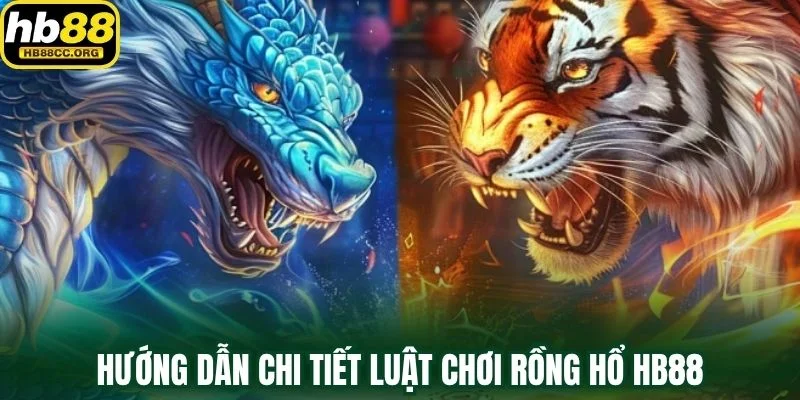 Rồng Hổ HB88 – Dễ Thắng Với Tỷ Lệ Trả Thưởng Đến 80% 3 Hướng dẫn chi tiết luật chơi Rồng Hổ HB88
