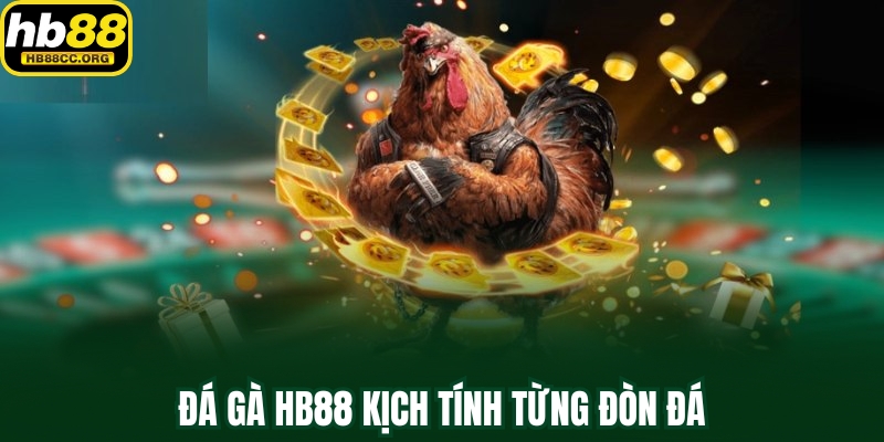 HB88 20 Đá gà HB88 - Kịch tính trong từng đòn đá